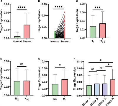 3D Collagen Fiber Concentration Regulates Treg Cell Infiltration in Triple Negative Breast Cancer